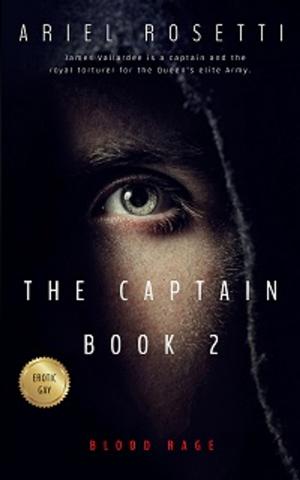 Cover of the book The Captain Book 2 by Ariel Rosetti