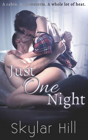 Cover of the book Just One Night by LizAnn Carson