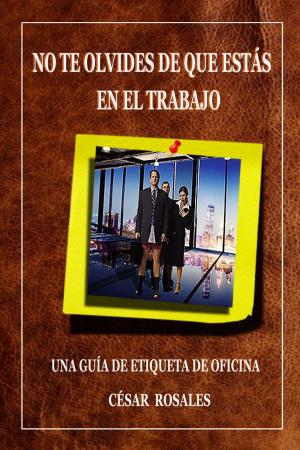 Book cover of NO TE OLVIDES DE QUE ESTÁS EN EL TRABAJO