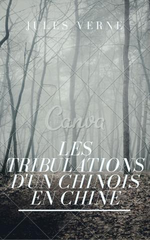 Cover of the book Les tribulations d'un chinois en Chine (Annotée et Illustré) by Anonymous
