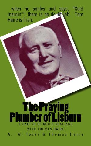 Book cover of The Praying Plumber of Lisburn
