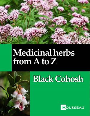 Cover of the book Medicinal herbs from A to Z by Mathieu Rousseau