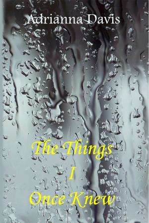 Book cover of The Things I Once Knew