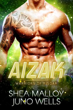 Book cover of Aizak