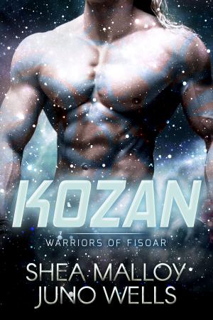 Cover of the book Kozan by Michael Canfield