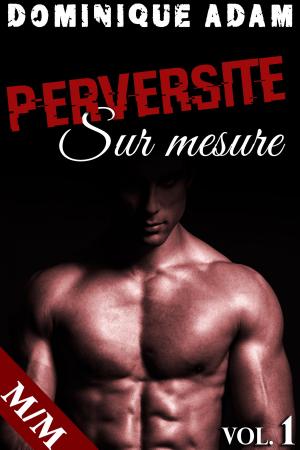 Cover of the book Perversité Sur Mesure Vol. 1 by Dominique Adam