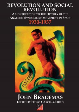 Cover of the book REVOLUTION AND SOCIAL REVOLUTION by Eduardo de Guzmán