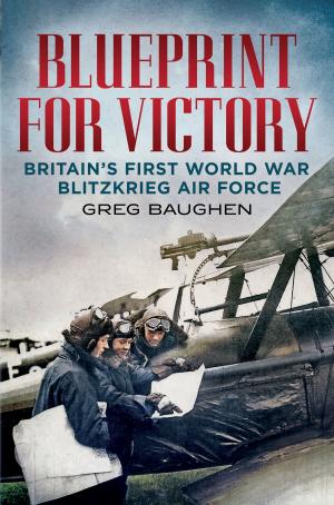 Cover of the book Blueprint for Victory by David Paul
