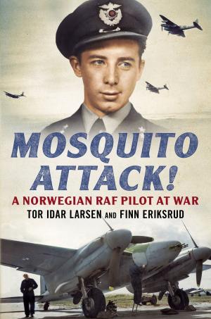 Cover of the book Mosquito Attack! by Daniel Knowles