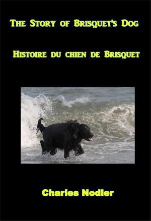 Book cover of The Story of Brisquet's Dog