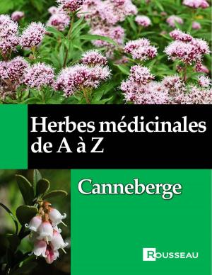 Cover of the book Herbes médicinales de A à Z by Ingeborg Stadelmann