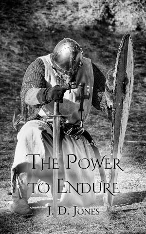 Cover of the book The Power to Endure by Dov Schwarz