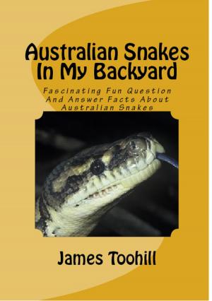 Cover of Australian Snakes In My Backyard