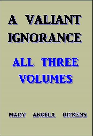 Cover of the book A Valiant Ignorance by Edwin Sabin