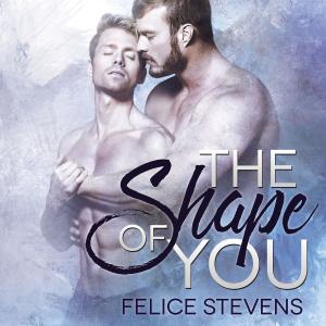Cover of the book The Shape of You by Denise Barker