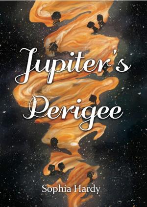 Cover of the book Jupiter's Perigee by K. Bradley Washburn