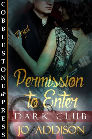 Cover of the book Permission to Enter by Flora Dain