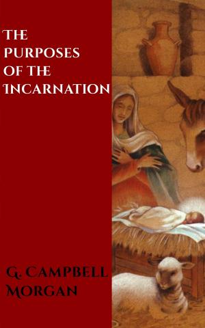 Cover of the book The Purposes of the Incarnation by Marie d'Ange