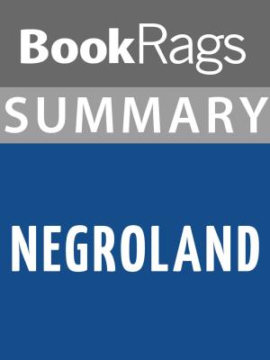Cover of the book Summary & Study Guide: Negroland by Meriam Wilhelm