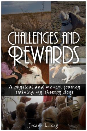 Cover of the book Challenges and Rewards by Susan van Schreven