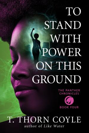 Cover of the book To Stand With Power on This Ground by Larry Gent