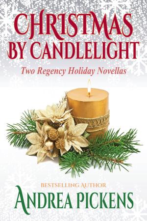 Cover of the book Christmas By Candlelight by Sienna Mynx