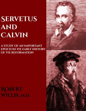 Cover of the book Servetus and Calvin by Quinn Graw