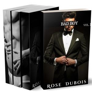 Cover of the book BAD BOY (L'Intégrale + BONUS) by Rose Dubois