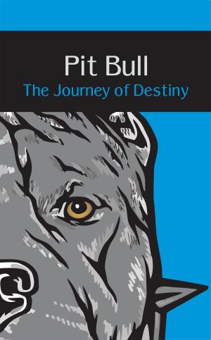 Cover of the book Pit Bull by Romulo Nayacalevu