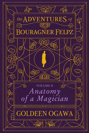 Cover of The Adventures of Bouragner Felpz, Volume II: Anatomy of a Magician
