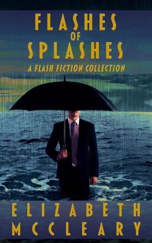 Book cover of Flashes of Splashes