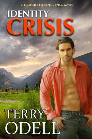 Cover of the book Identity Crisis by Lily Nibs