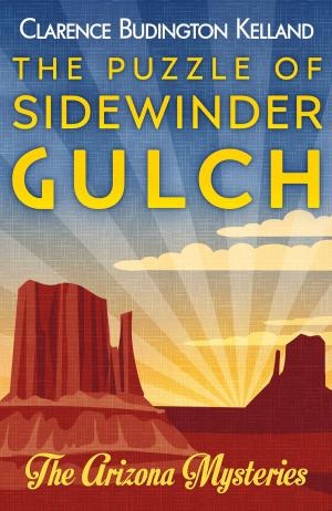 Cover of the book The Puzzle of Sidewinder Gulch by Clarence Budington Kelland