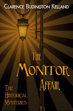 bigCover of the book The Monitor Affair by 
