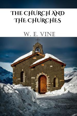 Book cover of Church and the Churches
