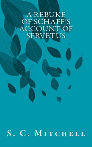 Cover of the book A Rebuke of Schaff's Account of Servetus by Timothy L. Murphy