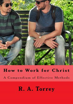 Cover of the book How to Work for Christ by William C. Irvine, H. A. Ironside, W. E. Vine, Alfred McDonald Redwood, Algernon J. Pollock, William H. Pettit, J. H. Todd, William Hoste, Arthur H. Carter, W. B. Riley, A. L. Wiley