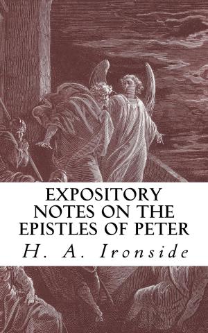 Cover of the book Expository Notes on the Epistles of Peter by William Tyndale