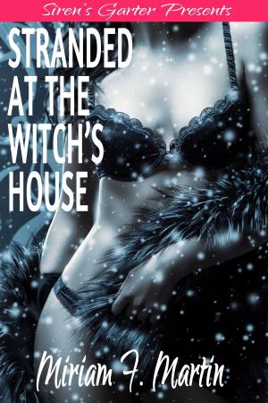 Cover of the book Stranded at the Witch’s House by Angelica Siren, Hugh Cox