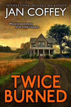 Book cover of Twice Burned