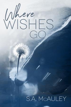 Book cover of Where Wishes Go