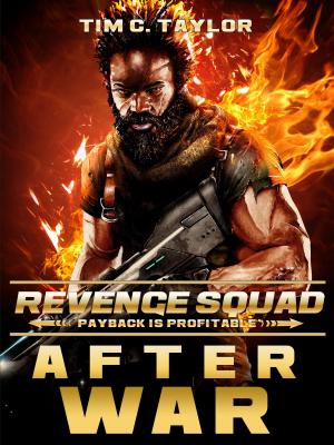 Book cover of After War