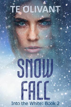 Cover of Snow Fall