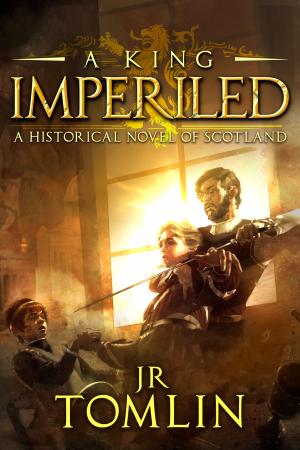 Cover of the book A King Imperiled by Susan Kaye Quinn