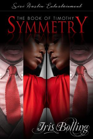 Cover of the book The Book of Timothy: Symmetry by DC Renee