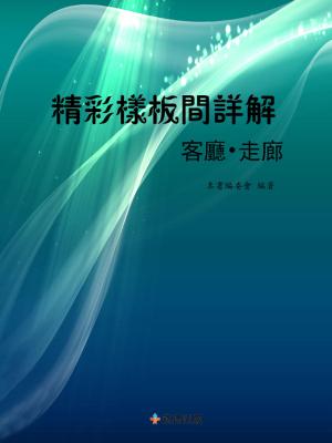 Cover of the book 精彩樣板間詳解800例：客廳•走廊 by 本書編委會