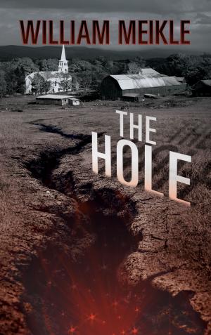 Cover of the book The Hole by Dennis Etchison