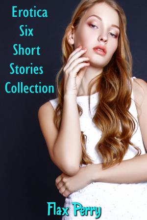 Book cover of Erotica Six Short Stories Collection
