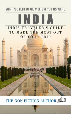 Book cover of What You Need to Know Before You Travel to India