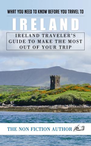 Cover of the book What You Need to Know Before You Travel to Ireland by Antonio Gálvez Alcaide